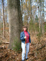 Ruth in front of Mecklenburg County's largest overcap oak