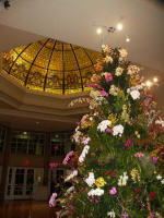 "Orchid tree" in full bloom at the Visitor Pavilion rotunda.