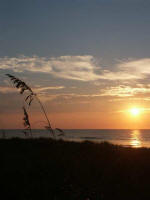 Sunrise and sea oats, 7:23 a.m. on September 28, 2007.