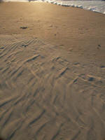 Windblown sand, and surf foam.