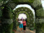 Ruth & Vi stroll under the Art Colonnade bromeliads.