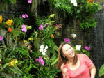 Vi having a great time by the Cascade Wall orchids.