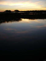 Reflections of beautiful Murrells Inlet Sunday night.