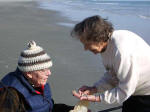 Daddy examines seashells Mother found on the beach.