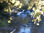 Chestnut Creek Falls