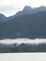 A morning fog, shrouding shoreline treetops, temporarily accents the Olympic National Rainforest's natural wonder.