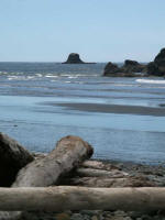 Sun-bleached beached driftwood points toward sea stacks off Ruby Beach, Olympic Peninsula, Jefferson County.