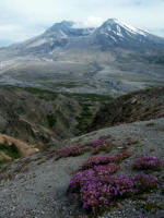 October 2004 Mt. St. Helens erupts after 18 years of quiet. By October 2006, seven massive spines were extruded (114 million cubic yards) to reach 1300 feet; mid-2007 the "new" lava dome is taller than the Empire State Building.