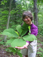 Thu Oanh photographs Ruth with big leaf magnolia.