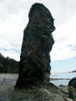 A sea stack is a coastal rock island or pillar, a steep isolated pinnacle that has resisted the sand-blasting force of waves.