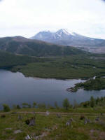 A view across Coldwater Lake to Mount St. Helens National Volcanic Monument (110, 000 acres in size); the ~40,000 year-old is the most active volcano in the Cascade Range.